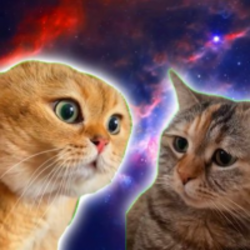TwoTalkingCats crypto logo
