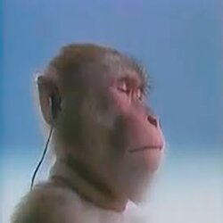 vibe shift logo vibe shift crypto logo