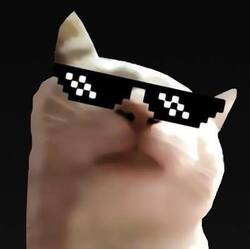 Vibing Cat logo Vibing Cat crypto logo