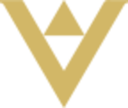 Vinci coin logo
