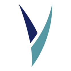 Vsync coin logo