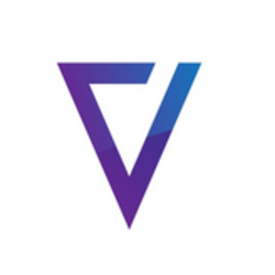 VZZN crypto logo