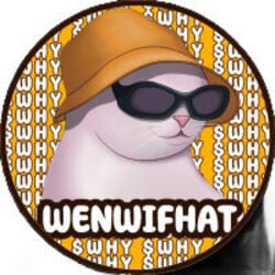 WenWifHat logo WenWifHat crypto logo
