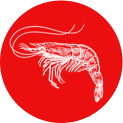 WhaleStreet $hrimp crypto logo