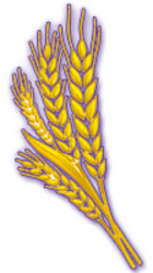 Wheat (BSC) crypto logo