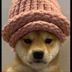 Wif - SecondChance crypto logo