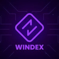 Windex coin logo