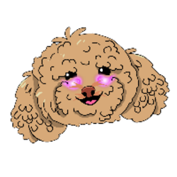Winnie the Poodle logo Winnie the Poodle crypto logo