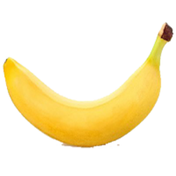 World Record Banana crypto logo