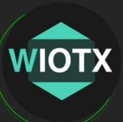 Wrapped IoTex logo Wrapped IoTex crypto logo