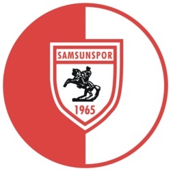 Wrapped Samsunspor (Kayen) crypto logo