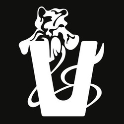 Wrapped Vana crypto logo