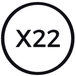 X22 coin logo