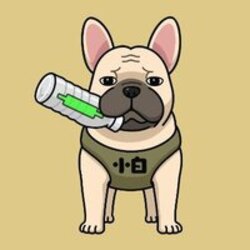 小白 logo 小白 crypto logo