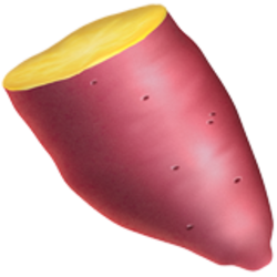 YAM logo YAM crypto logo