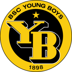 Young Boys Fan Token coin logo