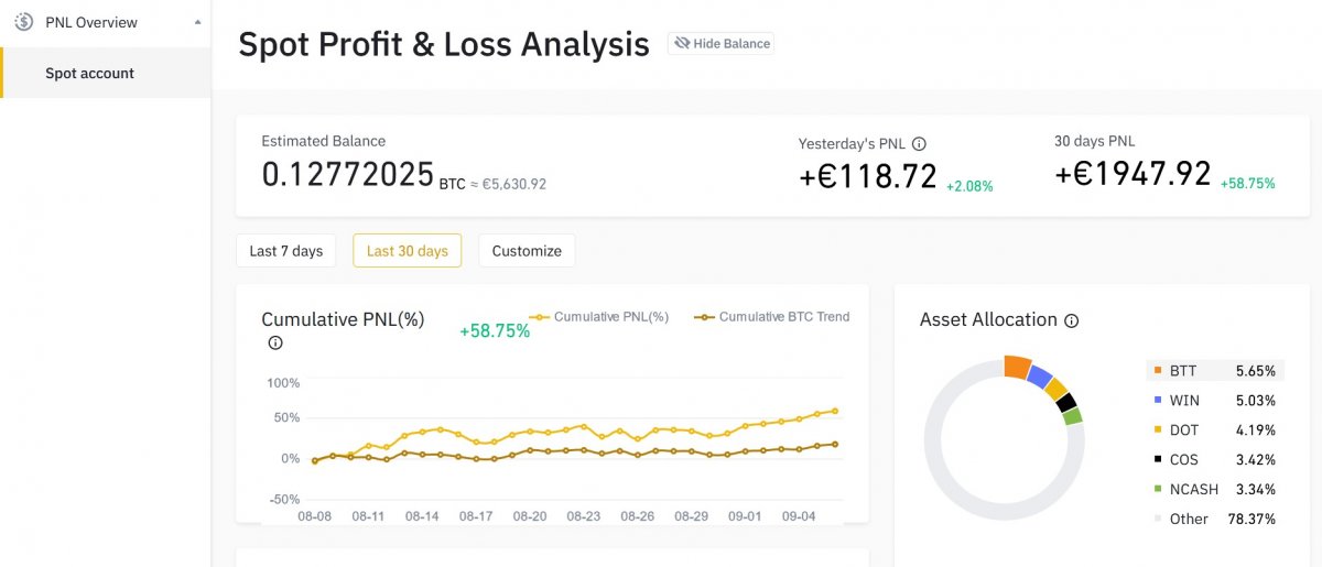Spot profit and loss analysis in Binance image