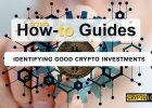 How to identify altcoins with massive potential